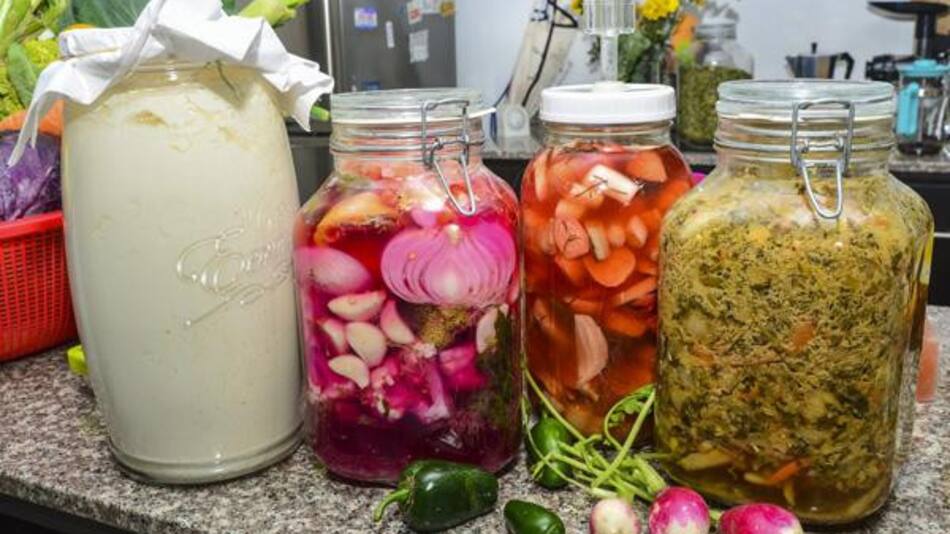 Alimentos fermentados, salud