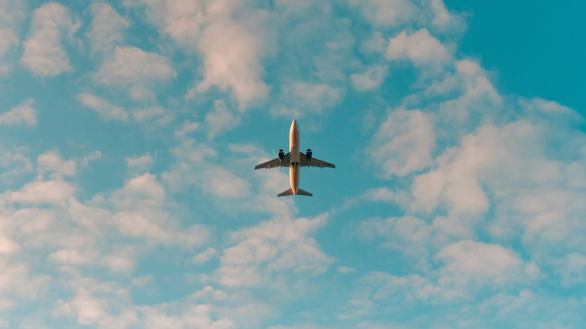Adiós a los aviones amarillos: una aerolínea low cost se declaró en quiebra y canceló todos sus vuelos