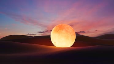 Luna llena de agosto 2025: cuándo es y a qué hora se podrá ver en Argentina