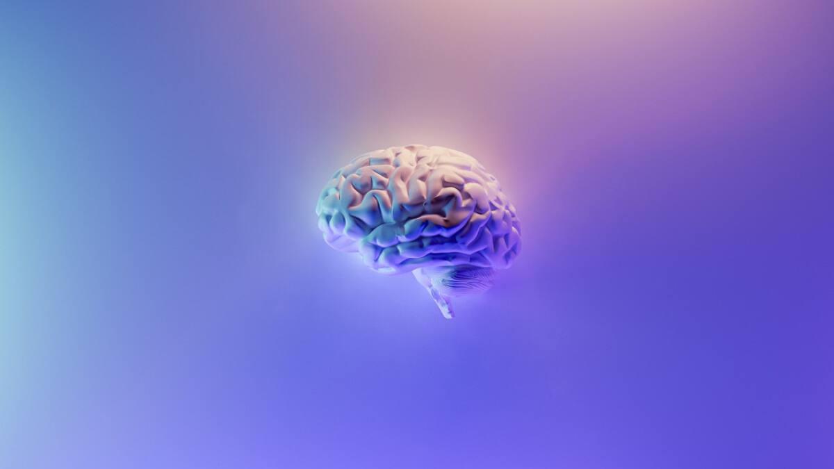 El cerebro humano y el cambio climático. Foto: Unsplash
