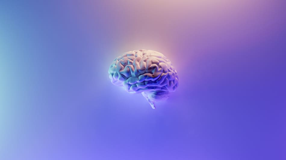El cerebro humano y el cambio climático. Foto: Unsplash