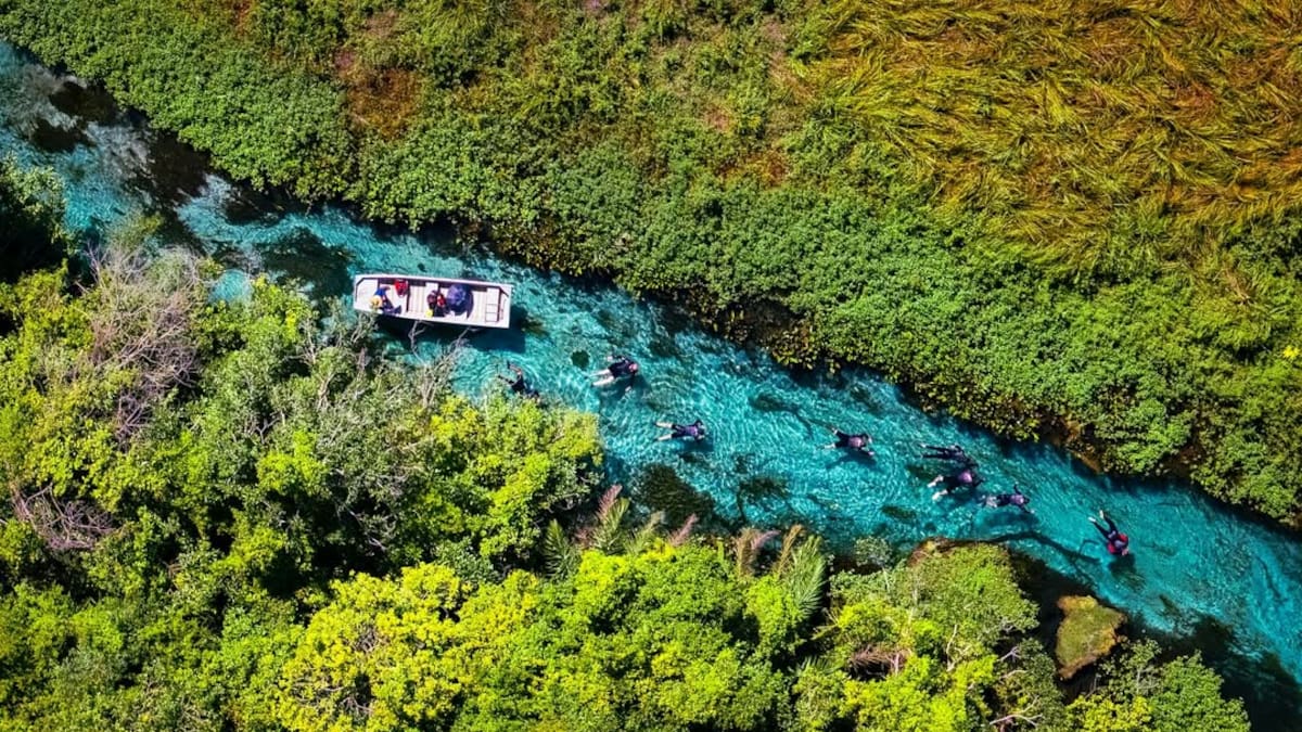 Río Sucuri, el más transparente del mundo.