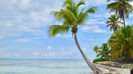 Una isla paradisíaca del Caribe ofrece 184.000 euros al año por vivir ahí. Foto: Unsplash