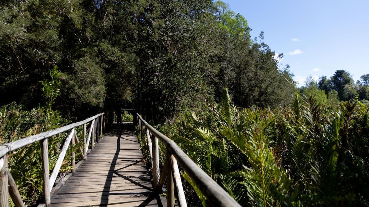 La localidad busca aplicar “soluciones basadas en la naturaleza” para proteger los humedales. Foto: EFE.