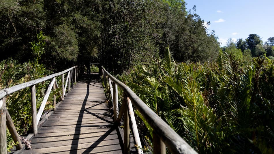 La localidad busca aplicar “soluciones basadas en la naturaleza” para proteger los humedales. Foto: EFE.