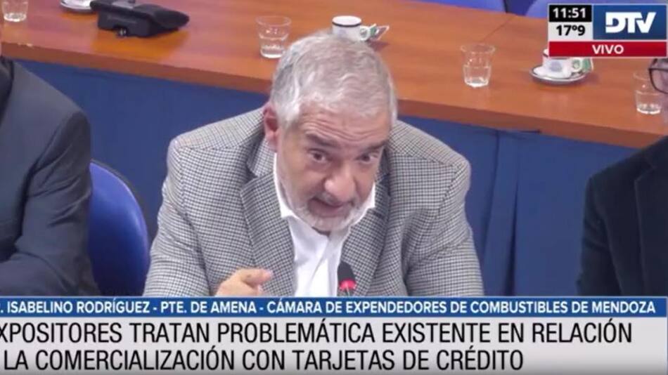 Diputados analizó la problemática en relación a la comercialización con tarjetas de crédito. Foto: Captura de pantalla.