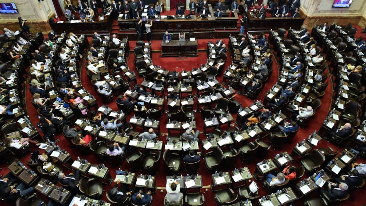 Sesión en Diputados. Foto: NA
