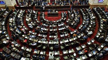 Diputados de la oposición pidieron una sesión especial para rechazar los vetos de Javier Milei