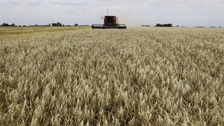 Campo argentino. Foto: NA