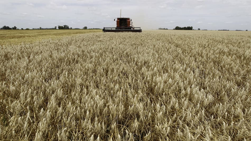 Campo argentino. Foto: NA