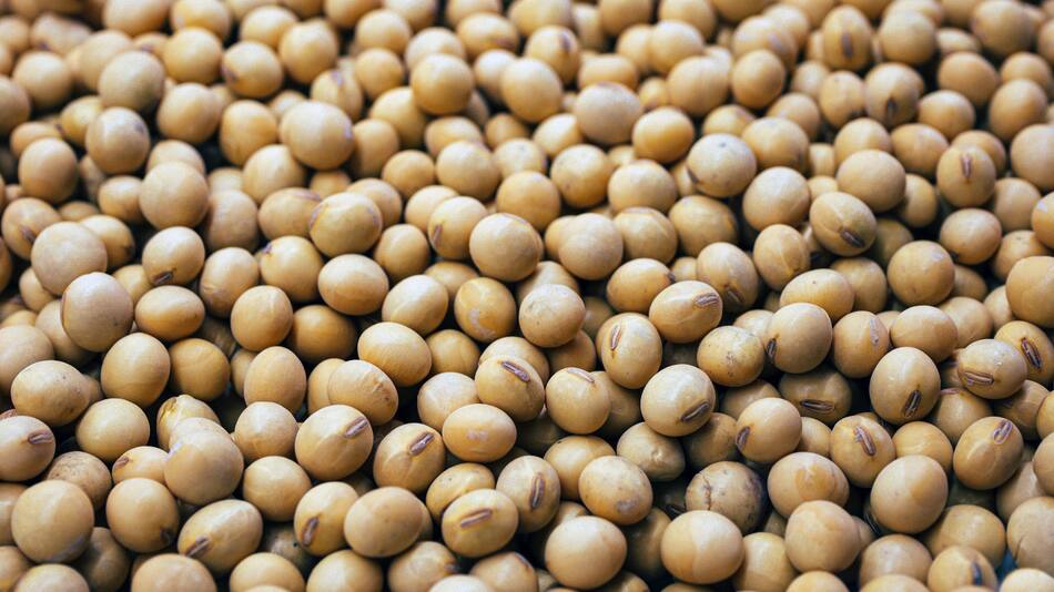 El alimento japonés que previene infartos. Foto Unsplash.