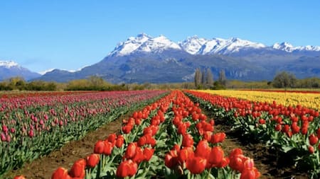 Un lugar maravilloso en medio de las montañas. Foto NA.
