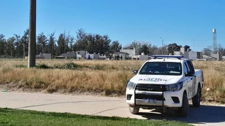 Un perro halló restos del cadáver de un bebé en Mar del Plata. Foto: Gentileza Infocielo.