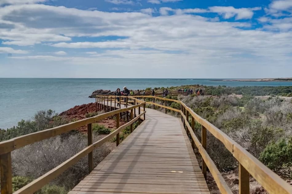 La Ruta Patagonia Azul impulsa el turismo responsable y conecta pueblos costeros del sur argentino