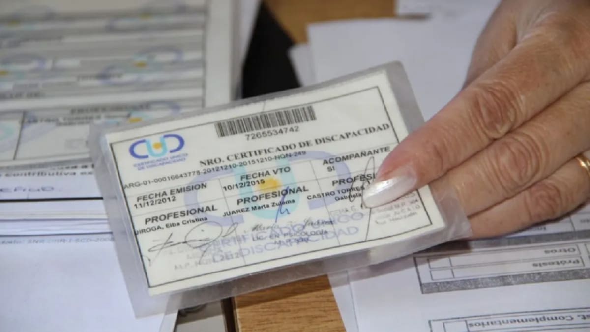Certificado Único de Discapacidad: quiénes pueden acceder, cómo tramitarlo y cuáles son los beneficios