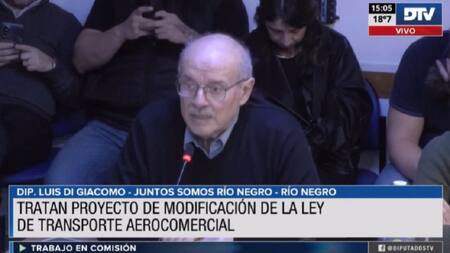 Aerolíneas Argentinas en Diputados. Foto: DTV.