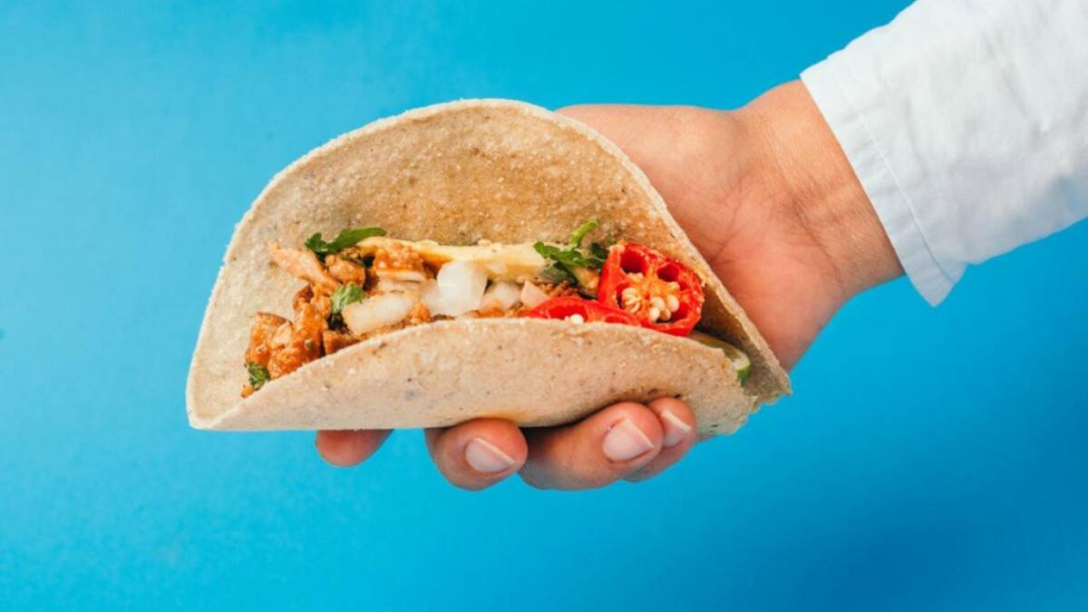 ¿Qué dice la FAO sobre la ingesta de alimentos elaborados con insectos?