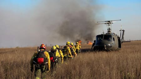 Incendios en el Delta. Foto: NA.