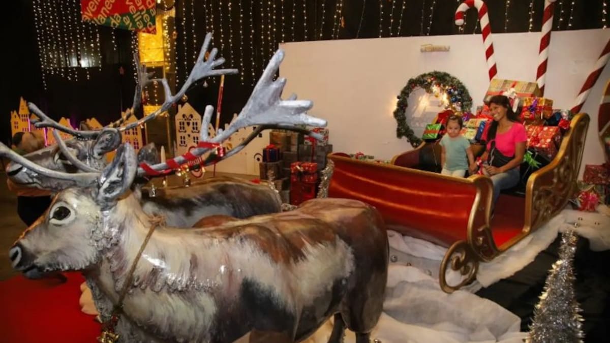 Parque de Navidad.