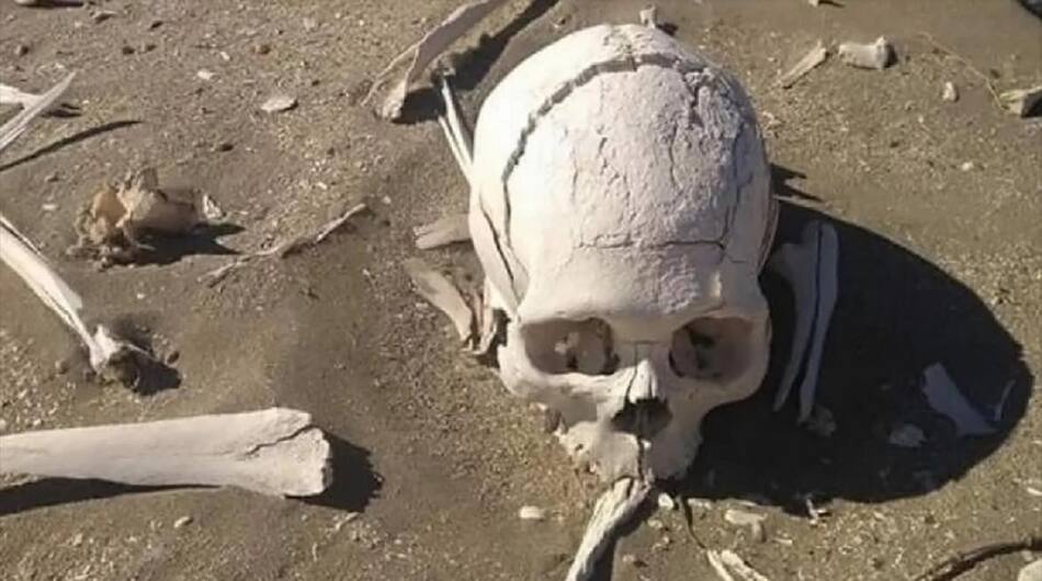 Encuentran bolsa con huesos en Chubut