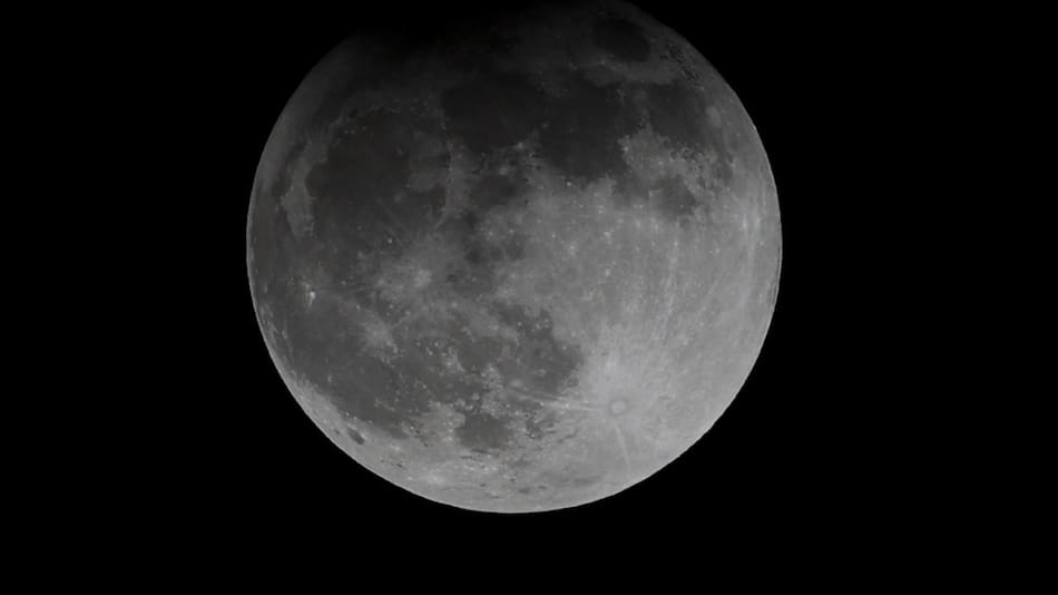 Green Moon Project enviará cultivos al espacio en 2026. Foto: EFE.