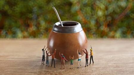 Día del mate, infusión, consumo