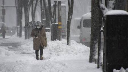 Fuertes nevadas en Japón. Foto: NA.