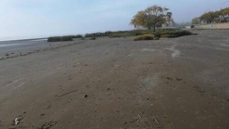 Punta Lara - restos humanos