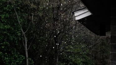 Fin de semana con un calor que no da tregua en el AMBA: a qué la lluvia traerá alivio