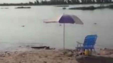 Anaconda en Entre Ríos