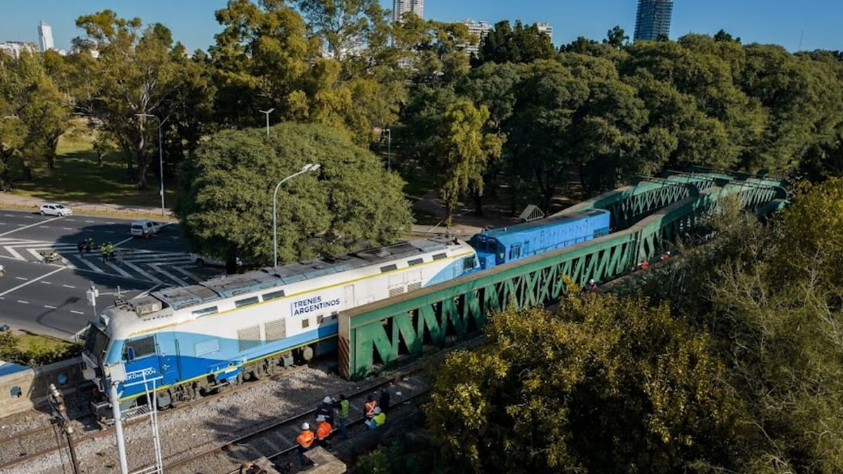 Cambios en el transporte público: qué estaciones del tren San Martín quedarán sin servicio durante el domingo 17 de mayo