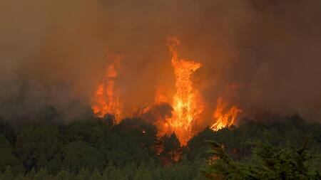 Incendios en Tenerife. Foto: Reuters.