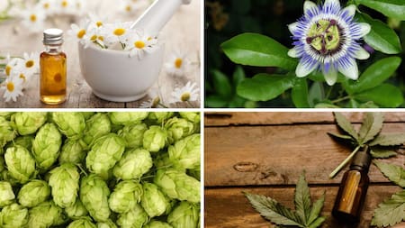 Remedios caseros para el sueño