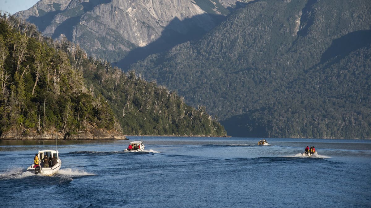 Río Negro: los incendios forestales en el Parque Nacional Nahuel Huapi afectaron a más de 630 hectáreas