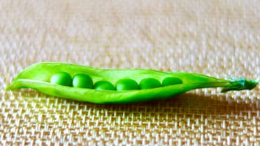 Ni hervidas ni salteadas: el secreto gastronómico para cocinar las arvejas sin que pierda sus nutrientes