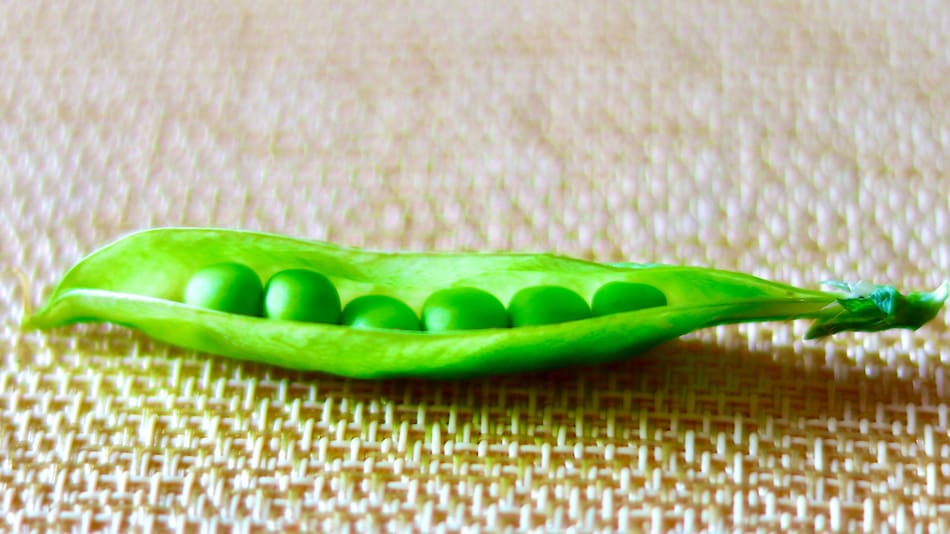 Arveja. Foto: Unsplash.