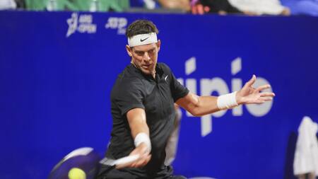 Juan Martín Del Potro, Argentina Open, foto NA