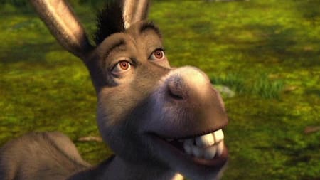 Burro de Shrek.