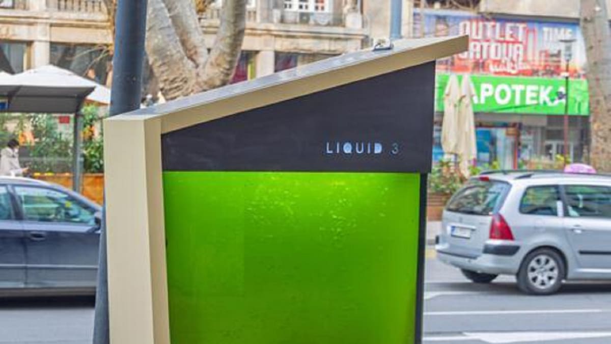 "Árboles líquidos" en Buenos Aires: de qué se trata el nuevo proyecto para mejorar la calidad del aire
