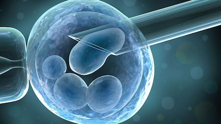 Fertilización - Tratamiento médico - Salud