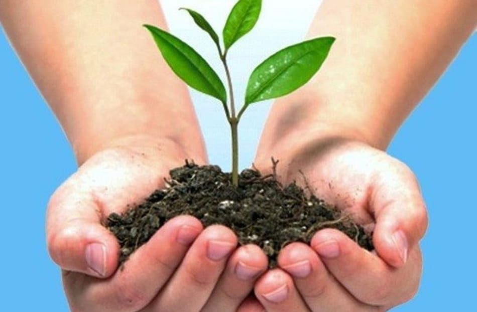 Medio Ambiente, Naturaleza, Ecología