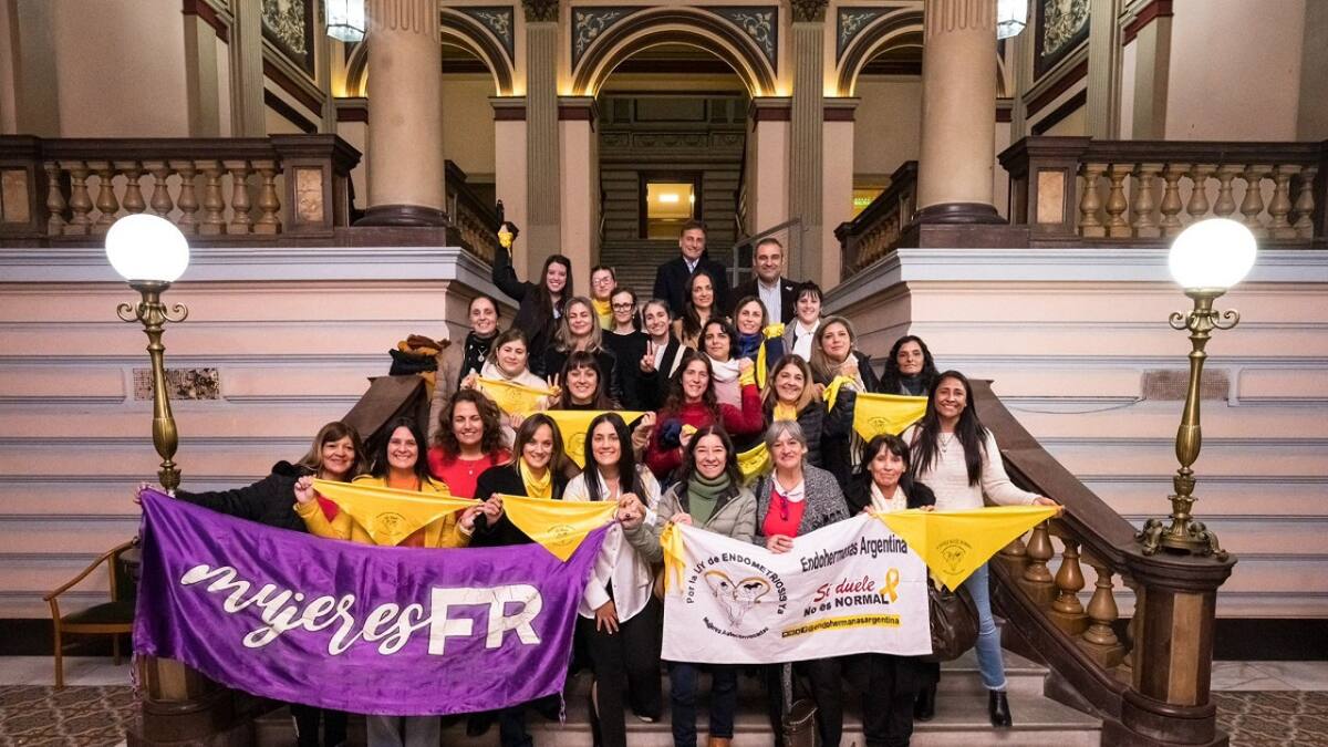 Aprobación de la ley de endometriosis. Foto: X @frmujeresok.