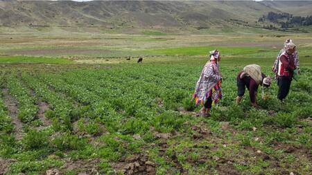 Zonas de agrobiodiversidad en Perú. Foto: X.
