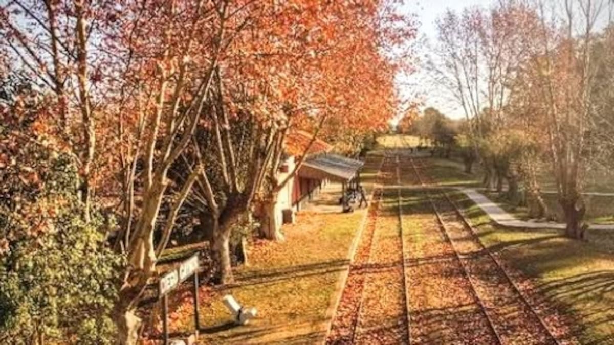 Entre calles históricas y aire de campo: el pueblito bonaerense que ofrece historia y naturaleza en un solo lugar