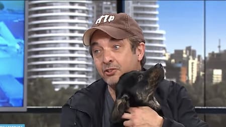 Tito, el perro rescatado por Ricardo Darín. Video América
