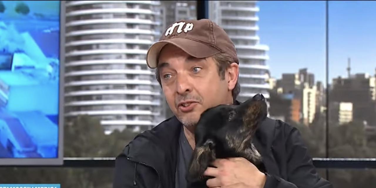 Tito, el perro rescatado por Ricardo Darín. Video América
