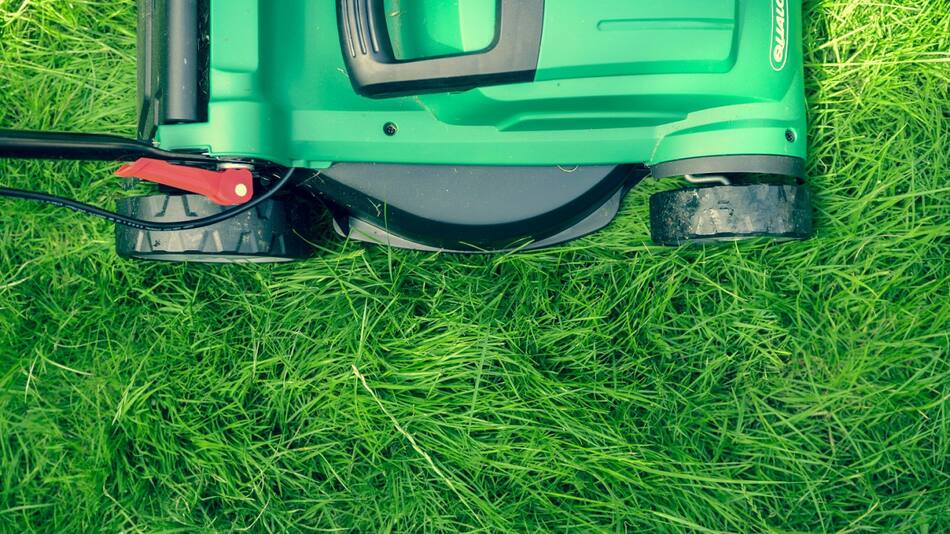 Cortar el pasto. Foto: Unsplash