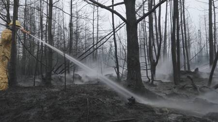Incendios forestales en Nueva Escocia. Foto: captura video.