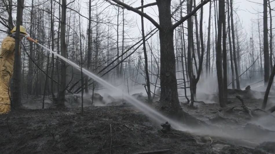 Incendios forestales en Nueva Escocia. Foto: captura video.