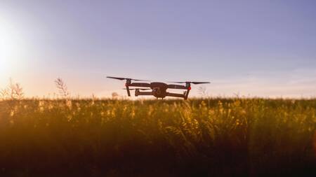 Drones de cultivo. Fuente: Pexels